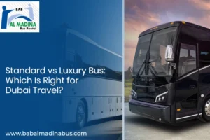 luxury busses